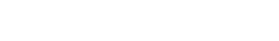FUTURE ACCESS